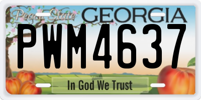 GA license plate PWM4637