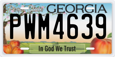 GA license plate PWM4639