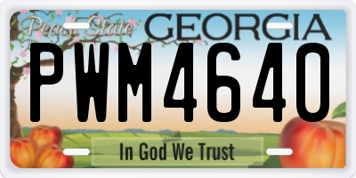 GA license plate PWM4640