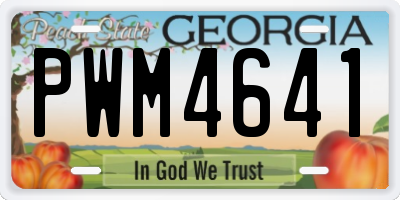 GA license plate PWM4641