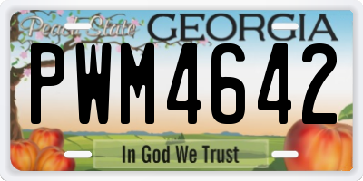 GA license plate PWM4642