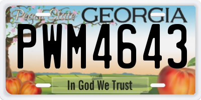 GA license plate PWM4643
