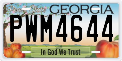 GA license plate PWM4644