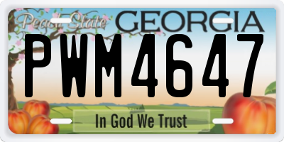 GA license plate PWM4647