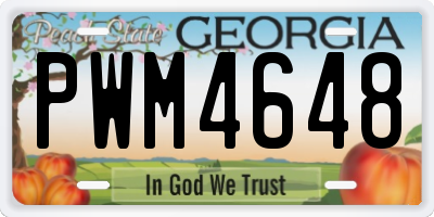 GA license plate PWM4648