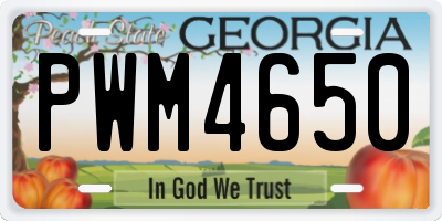 GA license plate PWM4650