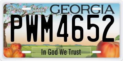 GA license plate PWM4652