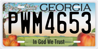 GA license plate PWM4653