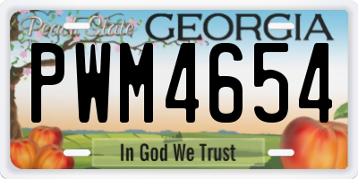 GA license plate PWM4654