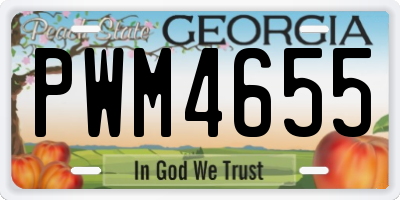 GA license plate PWM4655