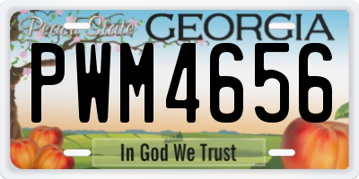 GA license plate PWM4656