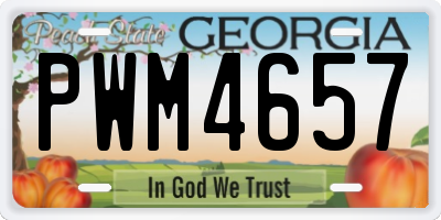 GA license plate PWM4657