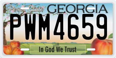 GA license plate PWM4659