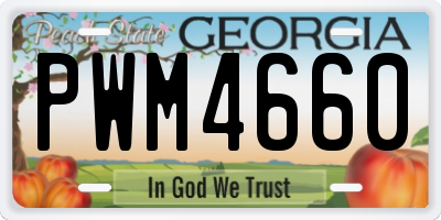 GA license plate PWM4660