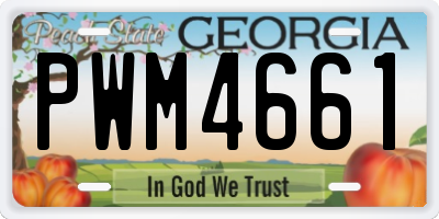 GA license plate PWM4661