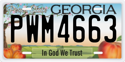 GA license plate PWM4663
