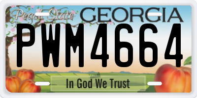 GA license plate PWM4664