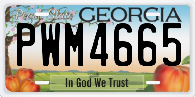 GA license plate PWM4665