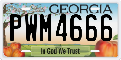 GA license plate PWM4666