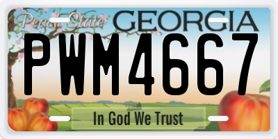 GA license plate PWM4667