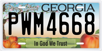 GA license plate PWM4668