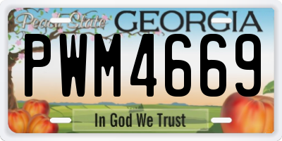 GA license plate PWM4669
