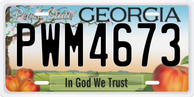 GA license plate PWM4673