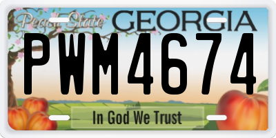 GA license plate PWM4674