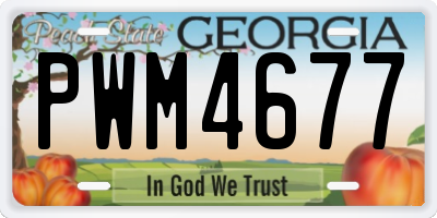 GA license plate PWM4677