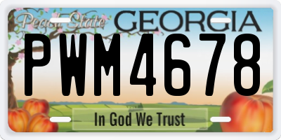 GA license plate PWM4678