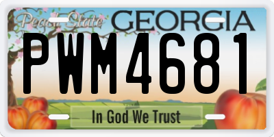 GA license plate PWM4681