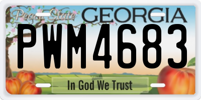 GA license plate PWM4683