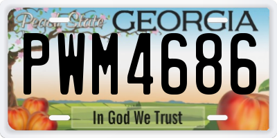 GA license plate PWM4686