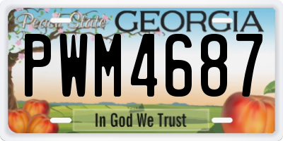 GA license plate PWM4687