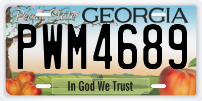 GA license plate PWM4689