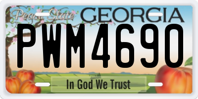 GA license plate PWM4690
