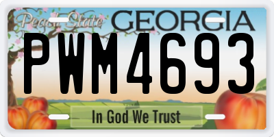 GA license plate PWM4693