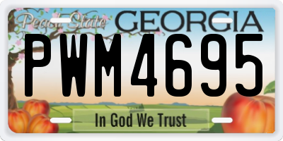 GA license plate PWM4695