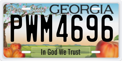 GA license plate PWM4696