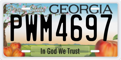 GA license plate PWM4697