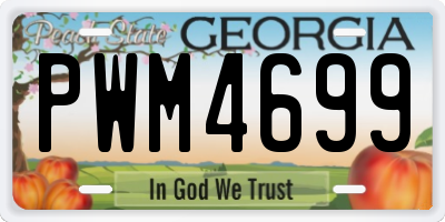 GA license plate PWM4699