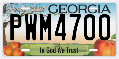 GA license plate PWM4700