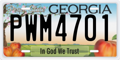 GA license plate PWM4701