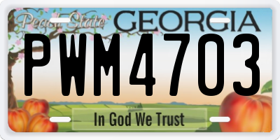 GA license plate PWM4703