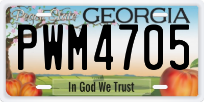 GA license plate PWM4705