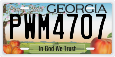 GA license plate PWM4707
