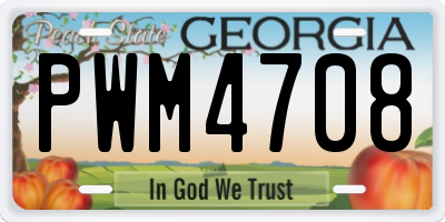 GA license plate PWM4708
