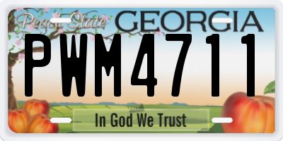 GA license plate PWM4711