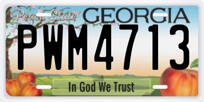 GA license plate PWM4713