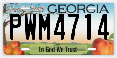 GA license plate PWM4714